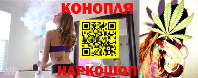 бошки Донской