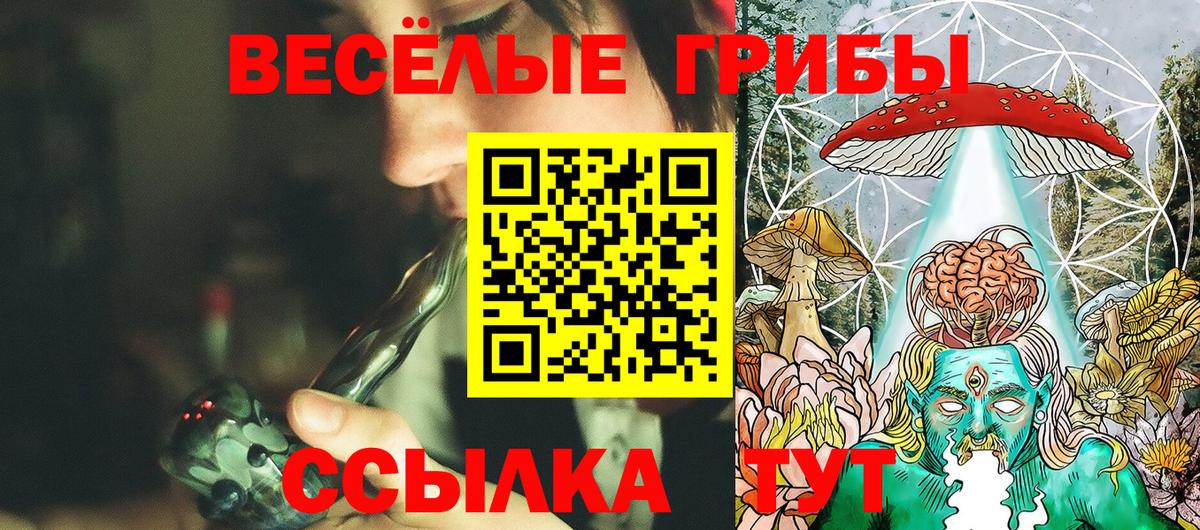 Псилоцибиновые грибы Psilocybine cubensis Кемерово